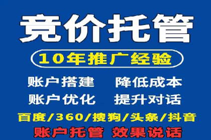 百度广告投放策略：成功案例解析